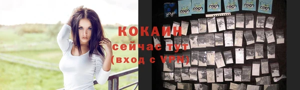 молекула духа Белокуриха