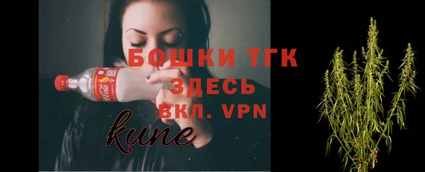 молекула духа Белокуриха