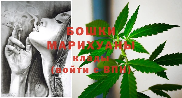 молекула духа Белокуриха