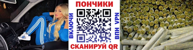Шишки марихуана планчик  Онега 